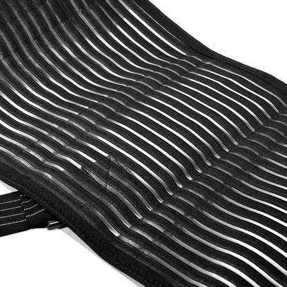 Back Belt: top view